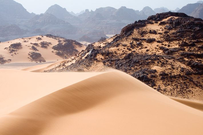 Sinai trafficking: Origin and definition of a new form of human trafficking